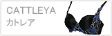 �J�g���A