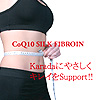 CoQ10 SILK FIBROIN